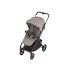 Carucior sport Anex Ride, multifunctional, cu roti inovatoare AirGlide, Chrome - 1