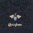 Carucior pentru copii Cybex Fashion - Priam 3.0 - 2 in 1 sport si landou lux Jewels of Nature - 14