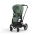 Carucior 2 in 1 pentru copii Cybex Priam 4.0, premium - Leaf Green cu cadru Matt Black - 1