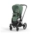 Carucior 2 in 1 pentru copii Cybex Priam 4.0, premium - Leaf Green cu cadru Chrome Black - 1