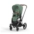 Carucior 2 in 1 pentru copii Cybex Priam 4.0, premium - Leaf Green cu cadru Chrome Brown - 1