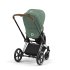 Carucior 2 in 1 pentru copii Cybex Priam 4.0, premium - Leaf Green cu cadru Chrome Brown - 3