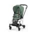 Carucior 2 in 1 pentru copii Cybex Mios 3.0 premium - Leaf Green cu cadru Chrome Black - 1