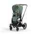 Carucior 2 in 1 pentru copii Cybex E-Priam, premium - Leaf Green cu cadru Chrome Brown	 - 1