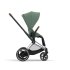 Carucior 2 in 1 pentru copii Cybex E-Priam, premium - Leaf Green cu cadru Chrome Brown	 - 3