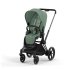 Carucior 2 in 1 pentru copii Cybex E-Priam, premium - Leaf Green cu cadru Matt Black - 1