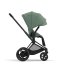 Carucior 2 in 1 pentru copii Cybex E-Priam, premium - Leaf Green cu cadru Matt Black - 5