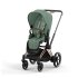 Carucior 2 in 1 pentru copii Cybex E-Priam, premium - Leaf Green cu cadru Rosegold - 1