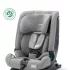 Scaun auto Recaro Toria Elite Exclusive, cu isofix, pentru copii, 15 - 36 kg, convertibil - Carbon Grey - 1