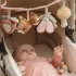 Jucarie senzoriala Little Dutch - Colectia Fairy Garden accesoriu carucior - 3
