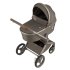 Carucior 2 in 1 pentru copii Anex Flo, spatios si usor, #1 - 4