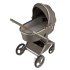 Carucior 2 in 1 pentru copii Anex Flo, spatios si usor, #1 - 3