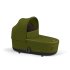 Khaki Green