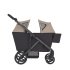 Vagon pentru caruciorul Anex Modu Double, transport confortabil pentru 2 copii, Shea - 1