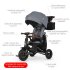 Tricicleta pentru copii Ultrapliabila QPlay Nova Deluxe, Reversibila, Roti EVA, 10-36 Luni - 4