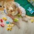 LEGO DUPLO 10477 Творчески домашни любимци, 3 в 1 - 8