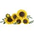 LEGO Botanicals 11502 Buchet de Floarea Soarelui – BabyMatters - 4