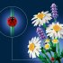 LEGO Botanicals Margarete (11508), 133 piese - 6