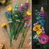 LEGO Botanicals Букет от диви цветя 10313, Комплект за изграждане на изкуствени цветя за възрастни - 10