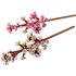 LEGO Cherry Blossoms 40725, Комплект за изграждане на ботаническа колекция - 4
