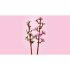LEGO Flori de cires 40725, Set de constructie Colectia Botanica - 9