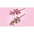 LEGO Flori de cires 40725, Set de constructie Colectia Botanica - 10