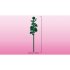 LEGO Flori de cires 40725, Set de constructie Colectia Botanica - 11