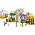 Cafenea cu multe plante si florarie LEGO Friends 42671 - 9