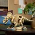 LEGO Джурасик свят - Вкаменелости на динозаври: Трицератопс 77985 Комплект, Ретро колекционерски модел - 5