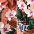 LEGO Icons Орхидея (Creator Expert) 10311 - 9