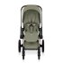 Carucior sport pentru copii Cybex Priam Style, premium, Sage Green cu cadru Rosegold - 2