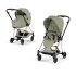 Carucior 2 in 1 pentru copii Cybex Mios Style, premium, Sage Green cu cadru Rosegold - 1