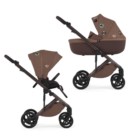 Carucior 2 in 1 pentru copii Anex Eli Special, versatil, elegant, Wander