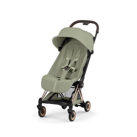 Sage Green
