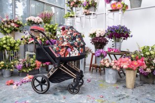 Carucioare copii / Landouri - Landou pentru carucior Cybex Priam/ e-Priam 4.0 Spring Blossom - 2