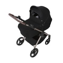 Carucior 2 in 1 pentru copii Anex IQ, compact, multifunctional