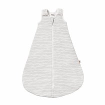 Camera copilului / Saci de dormit - Sac de Dormit pentru bebelusi Ergobaby On the Move, 2.5 TOG, Silver Waves - 2